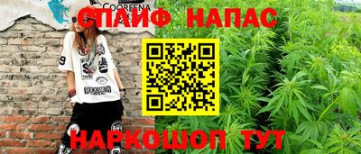 крисы Севастополь