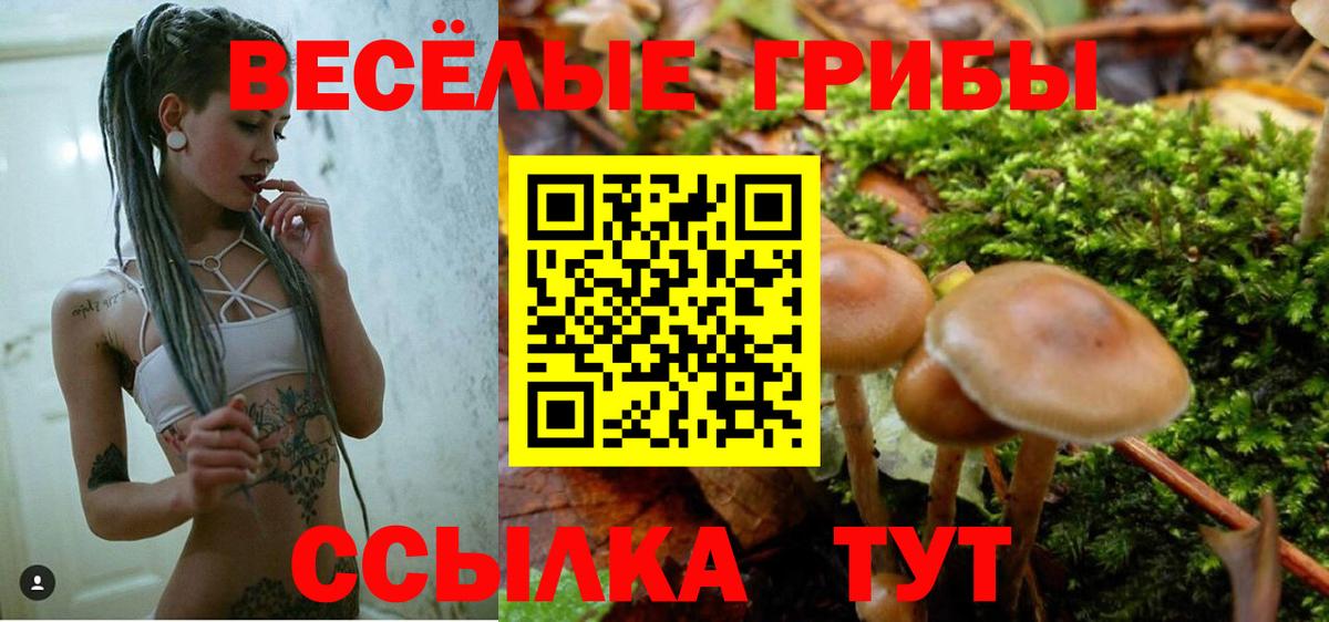 Галлюциногенные грибы мухоморы Саяногорск